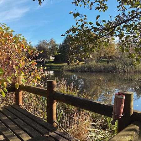 Hazel Oaks, Beautiful Lodge With Hot Tub - Sleeps 6 - Felmoor Park Morpeth Buitenkant foto