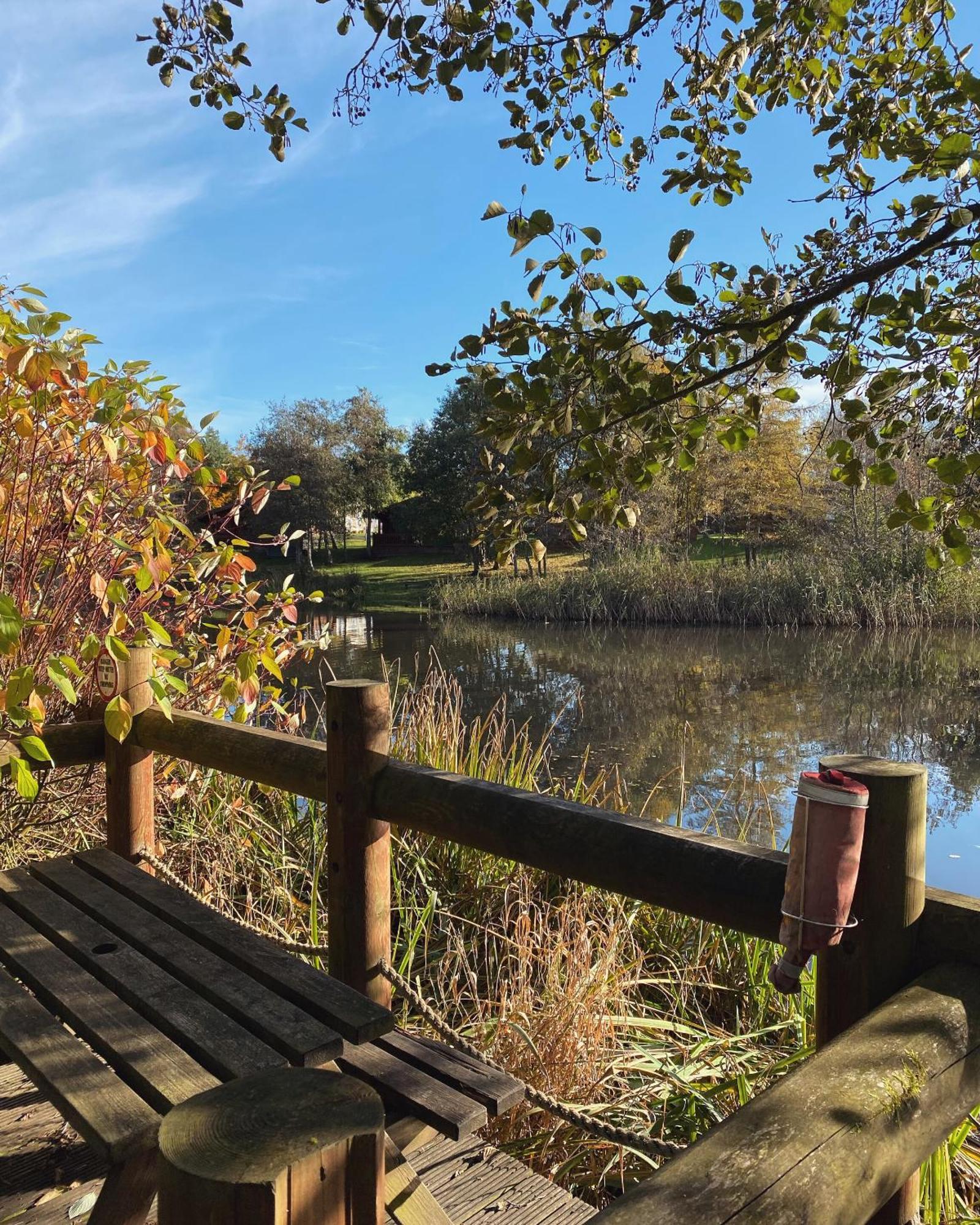 Hazel Oaks, Beautiful Lodge With Hot Tub - Sleeps 6 - Felmoor Park Morpeth Buitenkant foto